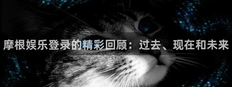 蓝狮娱乐电玩网官网入口：摩根娱乐登录的精彩回顾：过去、现在和未来