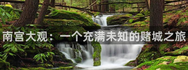 蓝狮娱乐能源：南宫大观：一个充满未知的赌城之旅