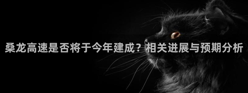 pg蓝狮娱乐平台下载入口：桑龙高速是否将于今年建成？相关进展与预期分析