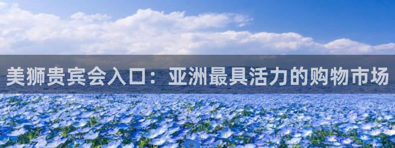 蓝狮娱乐是啥：美狮贵宾会入口：亚洲最具活力的购物市场