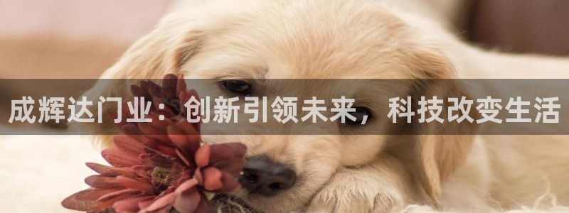 蓝狮娱乐有梦你就来：成辉达门业：创新引领未来，科技改变生活