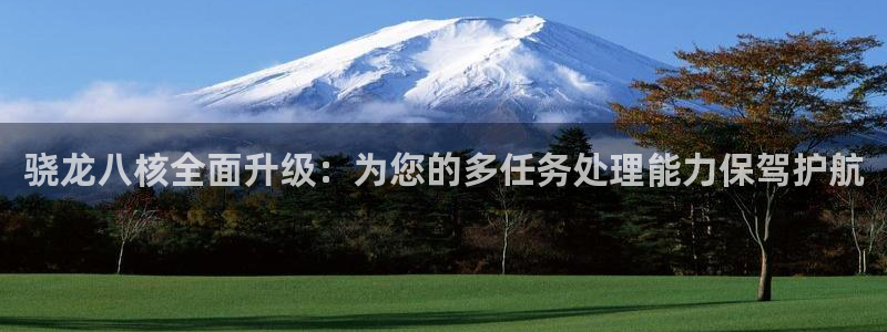 蓝狮娱乐链接：骁龙八核全面升级：为您的多任务处理能力保驾护航