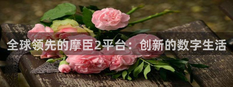 蓝狮娱乐能源：全球领先的摩臣2平台：创新的数字生活