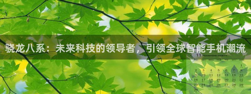 蓝狮娱乐体育app下载：骁龙八系：未来科技的领导者，引领全球智能手机潮流