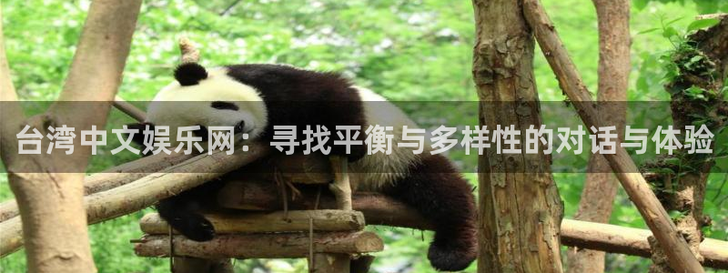 蓝狮娱乐ccm赏金女王：台湾中文娱乐网：寻找平衡与多样性的对话与体验