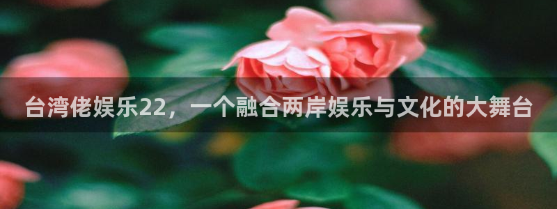 蓝狮娱乐体育注册代理：台湾佬娱乐22，一个融合两岸娱乐与文化的大舞台