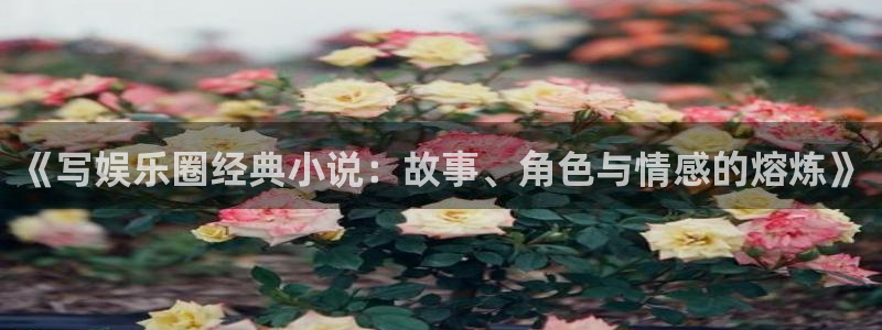 蓝狮娱乐平台在线开户：《写娱乐圈经典小说：故事、角色与情感的熔炼》