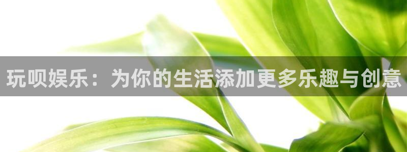 蓝狮娱乐手机版下载：玩呗娱乐：为你的生活添加更多乐趣与创意