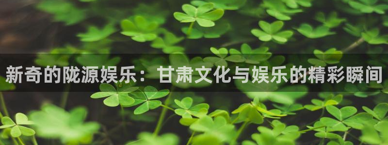 佛山市南海蓝狮娱乐机电仪器有限公司：新奇的陇源娱乐：甘肃文化与娱乐的精彩瞬间