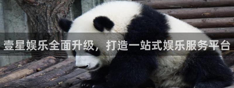 蓝狮娱乐2登录入口：壹星娱乐全面升级，打造一站式娱乐服务平台