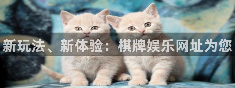 蓝狮娱乐平台主管：新玩法、新体验：棋牌娱乐网址为您