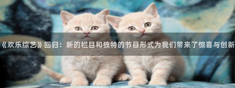 蓝狮娱乐官方网站